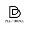 Deep Bridge Group